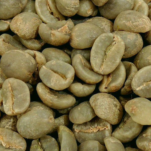 Burundian coffee beans