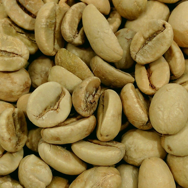 Indian Monsoon Malabar Green Coffee Buy Coffee Canada