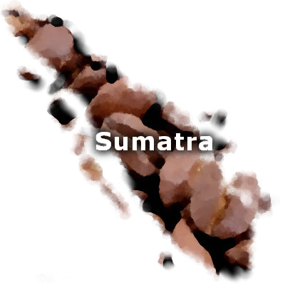 Sumatra Fair Trade Organic Coffee