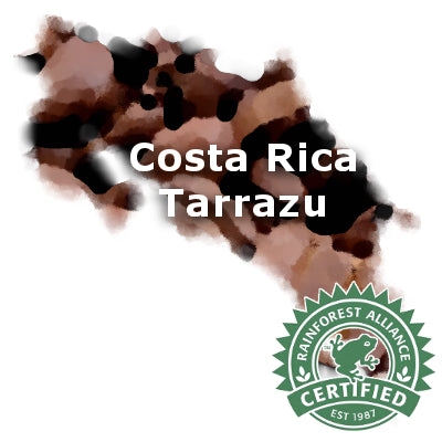 Costa Rican Tarrazu Rainforest Alliance